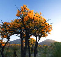 Cape Le Grand National Park - South Australia Travel