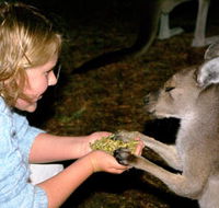 Discovery Bay's Walk on the Wild Side - South Australia Travel
