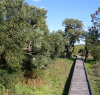Kepwari Trails Wetland Wonderland - South Australia Travel