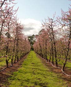  South Australia Travel