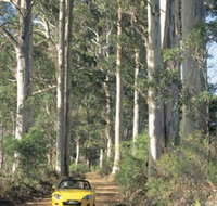 Scotsdale Tourist Drive - South Australia Travel