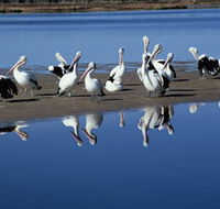 Peel Region Canoe Trails - South Australia Travel