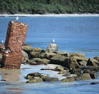 Whalers Beach - South Australia Travel