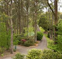 Mount Lofty Botanic Garden - South Australia Travel