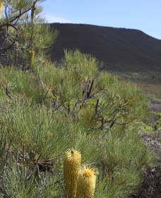  South Australia Travel