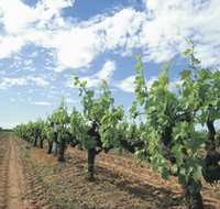 Blackwood Meadery - South Australia Travel