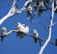 Carawine Gorge - South Australia Travel