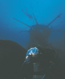 Swan Dive Wreck - South Australia Travel 0