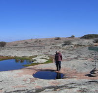 Dingo Rock - South Australia Travel