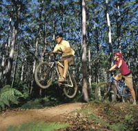 Leeuwin-Naturaliste National Park - Cowaramup - South Australia Travel