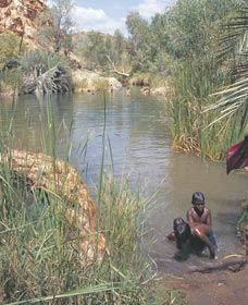 Palm Springs - South Australia Travel 0