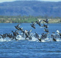 Ord River - South Australia Travel