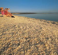 Shell Beach - South Australia Travel