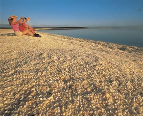 Shell Beach - South Australia Travel 0