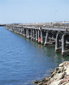 Old Timber Jetty - South Australia Travel 0