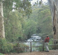 Cascades - South Australia Travel