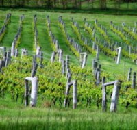 Sienna Estate Winery - South Australia Travel