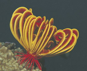 Lighthouse Bay - South Australia Travel 0