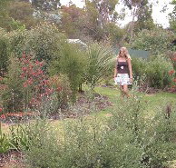 The Mythic Mazes - South Australia Travel