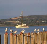 Oyster Harbour - South Australia Travel