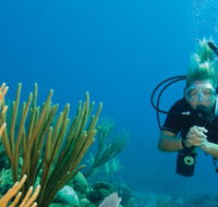 Coastal Water Dive - South Australia Travel