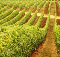 MadFish Wines Denmark - South Australia Travel