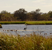 Anytime Adventures in Mandurah  the Peel Region - South Australia Travel