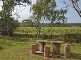 Goodieson Brewery - South Australia Travel 0