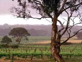  South Australia Travel
