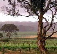 Yangarra Estate Vineyard - South Australia Travel