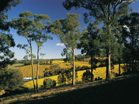 Lobethal SA South Australia Travel