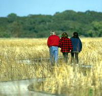 Onkaparinga River Recreation Park - South Australia Travel