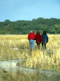 Onkaparinga River Recreation Park - South Australia Travel 0