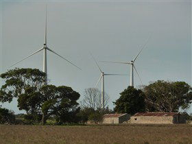 Wattle Point Wind Farm - South Australia Travel 0