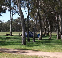 Black Cockatoo Bush Camp - South Australia Travel
