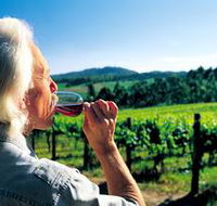 Ashton Hills Vineyard - South Australia Travel