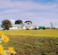 Lucindale Country Club - South Australia Travel