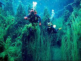 Port Macdonnell SA South Australia Travel