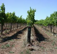 Temple Bruer Winery - South Australia Travel