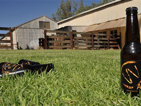 Mundic Creek SA South Australia Travel
