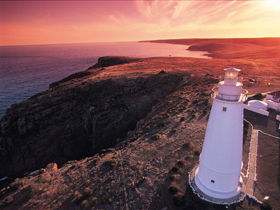 Lashmar Conservation Park - South Australia Travel 0