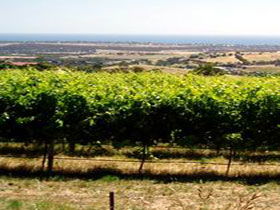  South Australia Travel