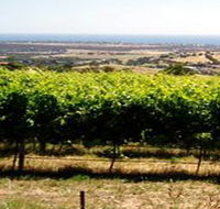 Braydun Hill Vineyard - South Australia Travel