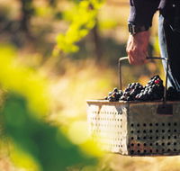 Spinifex Art and Crafts - South Australia Travel