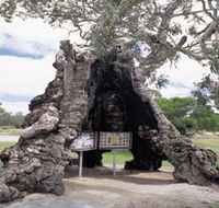 The Herbig Family Tree - South Australia Travel