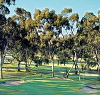 Tanunda Pines Golf Club - South Australia Travel