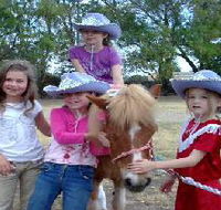 Amberainbow Pony Rides - South Australia Travel