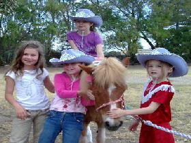 Amberainbow Pony Rides - South Australia Travel 0