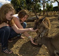 Kangaroo Island Wildlife Park - South Australia Travel