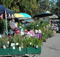 Meadows Monthly Market - South Australia Travel